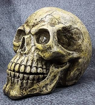 THE SKULL DISK DAMNGOOD!! × NATURE TONES il_fullxfull.5977919164_mjko.jpg